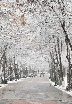 Unstable weather and strong winds are expected in Tashkent on March 11.