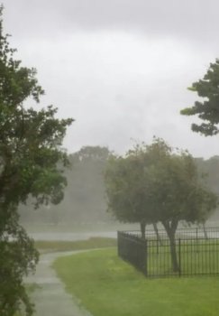 O‘zbekistonda dam olish kunlari havo salqin bo‘ladi