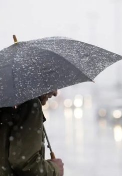 20-yanvar kuni ob-havo: tuman va sovuq kutilmoqda