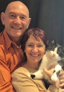 The cat that traveled 250 km returned home