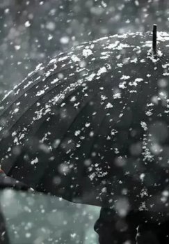 1-fevralda O‘zbekistonda iliq havo va yomg‘ir kutilmoqda