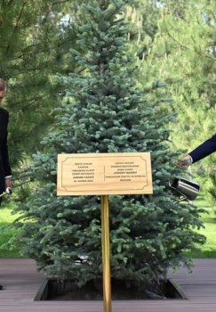 Shavkat Mirziyoyev va Andrey Babish birgalikda daraxt ekishdi
