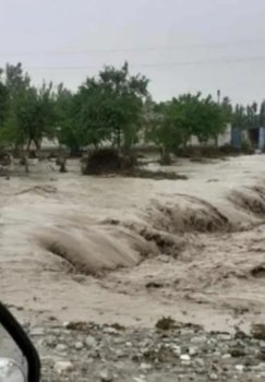 To'qqizta viloyatda kuchli yomg'in va sel suvlari xavfi e'lon qilindi