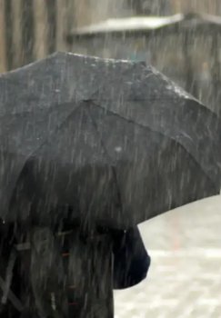 В течение недели ожидается дождливая погода