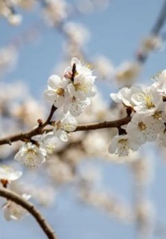 On March 13, the weather in Uzbekistan will be warm and sunny.