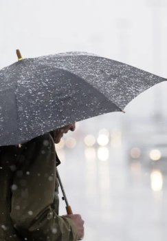 10-fevral: Ko‘pchilik hududlarda yomg‘ir va tuman kutilmoqda