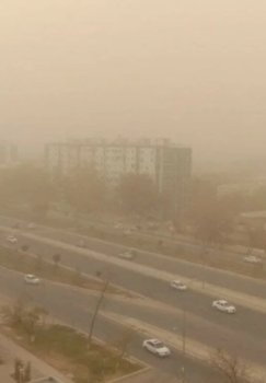 В ряде регионов Узбекистана ожидаются сильный ветер и пыльные бури