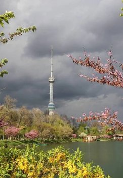 Aprel oyida O‘zbekistonda qisqa muddatli yomg‘irlar kutilmoqda