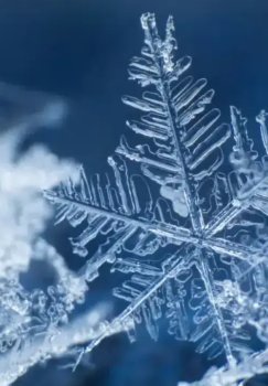 В Ташкенте в середине марта ожидается холод