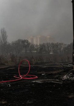 The Escalating Situation in the Middle East and Global Attention