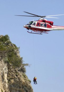 Женщина в Калифорнии чудом выжила после падения с огромной высоты