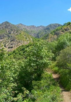 Toshkent va Farg'onada yangi milliy tabiat bog'lari tashkil etiladi