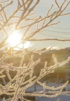 2-fevral kuni ayrim hududlarda yomg‘ir yog‘adi.