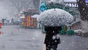 The weather information for February 10 has been announced