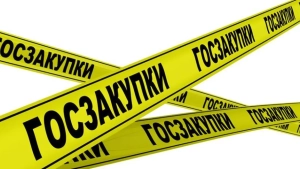 Transparency of public procurement will be increased, corruption will be limited