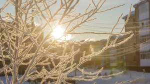 January 13: Warm and sunny day expected in Uzbekistan