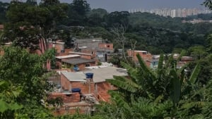 Vila Nova mahallasi bog‘ bilan ko‘chirishdan saqlindi