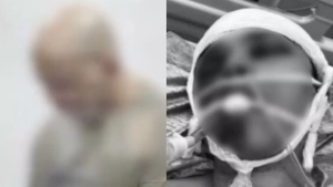 В Чирчике владелец магазина был приговорен к 9 годам тюремного заключения