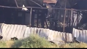 Toshkentda Uch Qahramon bozorida yong‘in sodir bo‘ldi