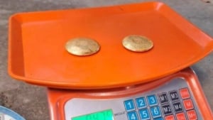 В Кашкадарье раскрыта незаконная торговля золотом