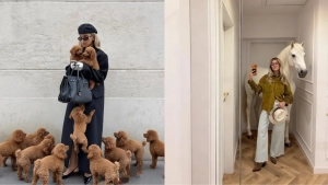 Bloggers started decorating their photos with animals