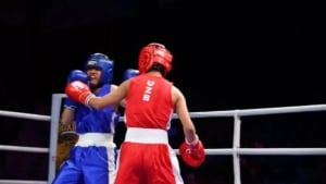 Asian Championship. 16 of our boxers have reached the finals