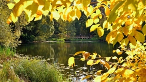 Tomorrow, the weather in Uzbekistan will be warm and without precipitation