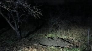 A citizen of Uzbekistan was killed in Vladimir region