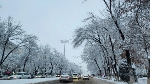 December 22–25: Snow, fog, and frost expected