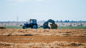 Agro-korxonalarning dizel yoqilg'isi uchun sarflaydigan xarajatlari davlat tomonidan qoplanadi