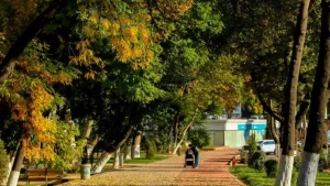 В выходные в Узбекистане будет жаркая погода