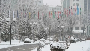 14-yanvar: O‘zbekistonda havo iliq va yog‘ingarchiliksiz