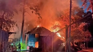 Novosibirsk hayvonot bog‘ida yong‘in yuz berdi