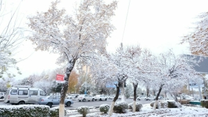 23 декабря: В Узбекистане прохладная и стабильная погода