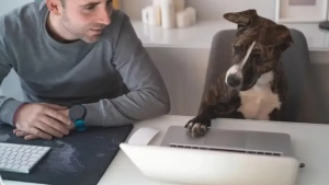 Chinese scientists have started working on a program that translates animal sounds into human language