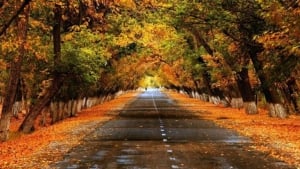 20-noyabr: O‘zbekistonda havo iliq va barqaror bo‘ladi