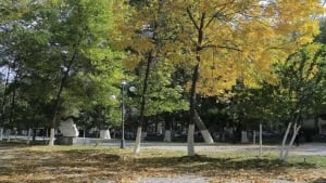 24-sentyabrda O‘zbekistonda havo o‘zgaruvchan bo‘ladi