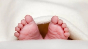 Due to maternal intoxication, alcohol was detected in the baby's blood