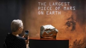 Nigerdagi noyob Mars meteoritining sotilishi bahs keltirdi