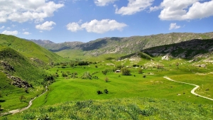 Adir yerlari auksionga chiqariladi: fermerlarga yangi imkoniyat