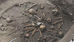 Ag‘damda qazish paytida inson skeletlari topildi