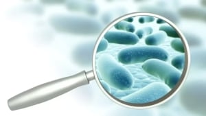Enterococcus bacteria found in drinking water in the city of Passau