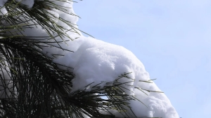 December 24: Clear weather in Uzbekistan, fog in some areas