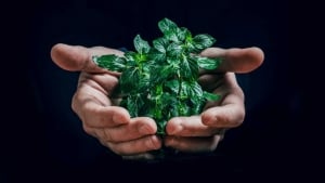 O‘zbekistonda ekologiya uchun maxsus jamg‘arma tashkil etiladi