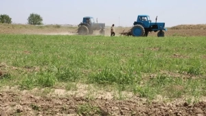 Qishloq xo‘jaligiga mo‘ljallangan yerlarni ijaraga berish tartibi o‘zgartirildi