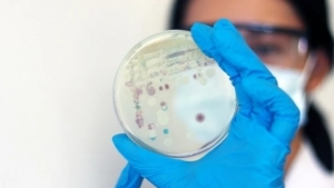 407 Million-Year-Old Fungus Fossil Found in Scotland