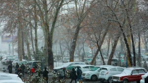December 26: Various weather conditions are expected in Uzbekistan
