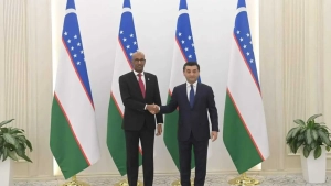 Diplomatic relations between Uzbekistan and Somalia have been established