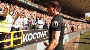 "Tottenxem" Palinyaning goli evaziga "Vulverxempton" ustidan g'alaba qozondi