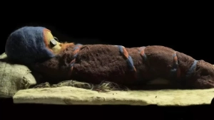 Tarim mummies: Mysterious Europoid traces of people in Western China (photo)